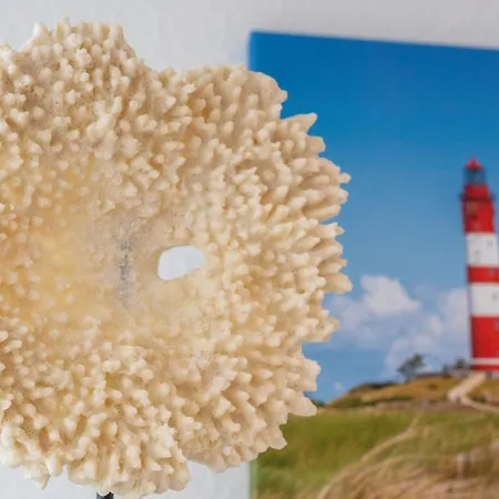 Glückszeit Dornumersiel