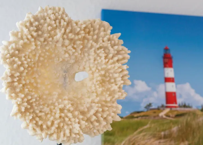 Glueckszeit 多纳莫塞尔