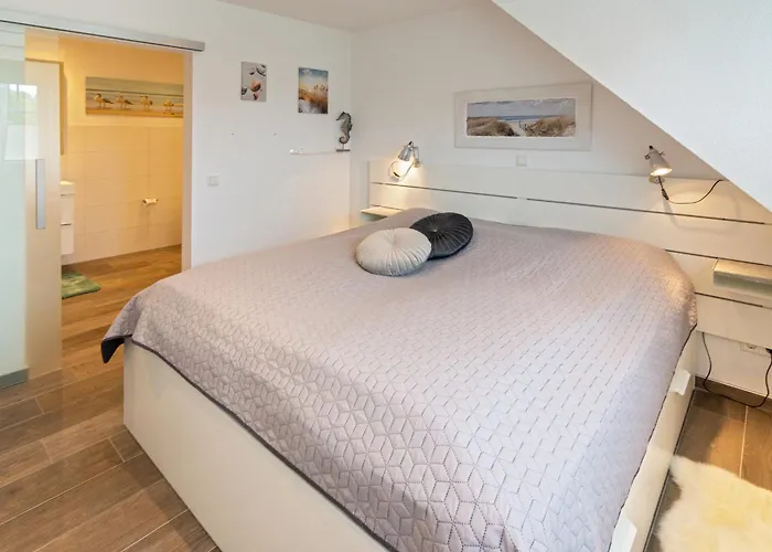 Glueckszeit * 多纳莫塞尔